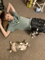 processed/8b7a0724-cc81-4470-b3e7-36f9b0b05079/facility/497d22a4-7443-4cc1-9502-6a22480792fe