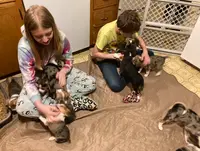 processed/8b7a0724-cc81-4470-b3e7-36f9b0b05079/facility/a9e0462a-6592-4c66-bbef-a5bcd59f50ba