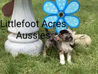 processed/8b7a0724-cc81-4470-b3e7-36f9b0b05079/facility/aecc639e-a800-463b-b576-6d7f1b55007e