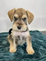 processed/8b838d0a-96df-4322-bdd0-b8e459a50f09/listing/1044e2f3-8ed8-4637-9367-c8c2ffd0f270/0d9f6611-0b5b-4cf2-a916-cab3192547a6