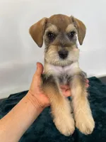 processed/8b838d0a-96df-4322-bdd0-b8e459a50f09/listing/1044e2f3-8ed8-4637-9367-c8c2ffd0f270/702bbe27-6305-4d4c-bb1a-55f5ea77a16b