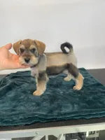 processed/8b838d0a-96df-4322-bdd0-b8e459a50f09/listing/1044e2f3-8ed8-4637-9367-c8c2ffd0f270/72d8e574-d278-424e-89de-e62fba49936a