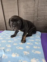 processed/8b83d05a-046b-4bc2-bb02-669e414eb60c/listing/aa2a737a-d1d7-4630-b371-71bc2f041868/50fb77bf-92c7-4041-815d-f708d581ed5a