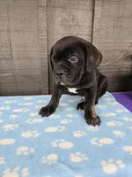 processed/8b83d05a-046b-4bc2-bb02-669e414eb60c/listing/aa2a737a-d1d7-4630-b371-71bc2f041868/5a796806-e445-4af7-9bf7-ca1e63e0ee72