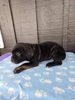 processed/8b83d05a-046b-4bc2-bb02-669e414eb60c/listing/aa2a737a-d1d7-4630-b371-71bc2f041868/c36829ba-8e41-4c45-bb95-548e58e70e33