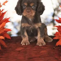 processed/8b875a53-d372-446c-ac08-21166254e5ae/facility/0b6a5b23-fd1d-4268-b221-8340514fdfee