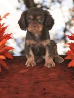 processed/8b875a53-d372-446c-ac08-21166254e5ae/facility/0b6a5b23-fd1d-4268-b221-8340514fdfee