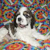 processed/8b89f6d3-af1a-4f53-8963-168201fd8d70/facility/160a22c4-3458-444b-9bc1-a376d01fff1d