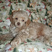 processed/8b89f6d3-af1a-4f53-8963-168201fd8d70/facility/1a92b9ee-64b0-46fa-a00a-89ee6e62e4c9