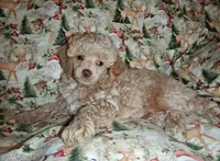 processed/8b89f6d3-af1a-4f53-8963-168201fd8d70/facility/1a92b9ee-64b0-46fa-a00a-89ee6e62e4c9