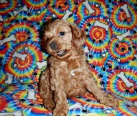 processed/8b89f6d3-af1a-4f53-8963-168201fd8d70/facility/33a2b95f-b92a-4320-b80e-207453b3996c