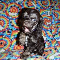 processed/8b89f6d3-af1a-4f53-8963-168201fd8d70/facility/35d0b420-53ed-4e0d-bc63-4712c87d86af