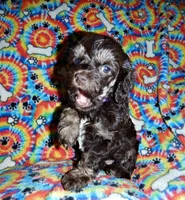 processed/8b89f6d3-af1a-4f53-8963-168201fd8d70/facility/35d0b420-53ed-4e0d-bc63-4712c87d86af