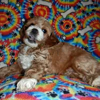 processed/8b89f6d3-af1a-4f53-8963-168201fd8d70/facility/3ec8db3c-356d-4fb1-b769-1688b9428dfa