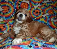 processed/8b89f6d3-af1a-4f53-8963-168201fd8d70/facility/3ec8db3c-356d-4fb1-b769-1688b9428dfa