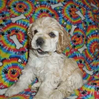 processed/8b89f6d3-af1a-4f53-8963-168201fd8d70/facility/4475562f-dc9c-411e-92fd-31a3e268b8b8