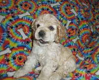 processed/8b89f6d3-af1a-4f53-8963-168201fd8d70/facility/4475562f-dc9c-411e-92fd-31a3e268b8b8