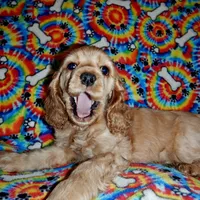 processed/8b89f6d3-af1a-4f53-8963-168201fd8d70/facility/56ef8482-41dc-4d3c-a0dd-1e8bc75edc6e