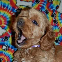 processed/8b89f6d3-af1a-4f53-8963-168201fd8d70/facility/e4c87259-db67-4709-9728-6ea5c26e71e7