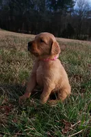 processed/8b978500-a0b8-41f0-8649-e8c2d56ae8a8/listing/f9156aac-ddba-47ef-aa1f-4f0b81fddb65/347f4c63-c4ea-4570-bfb2-fbf29c0220d0