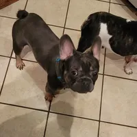 processed/8b99f249-326e-4830-ad57-2ec6a6b8e188/facility/0402a66c-43b4-4e48-a74f-e8a900ed8101