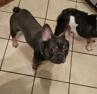 processed/8b99f249-326e-4830-ad57-2ec6a6b8e188/facility/0402a66c-43b4-4e48-a74f-e8a900ed8101