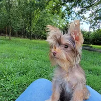 processed/8b99f249-326e-4830-ad57-2ec6a6b8e188/facility/7397aa9a-ad9a-415a-a26d-cd566b42eb16