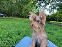 processed/8b99f249-326e-4830-ad57-2ec6a6b8e188/facility/7397aa9a-ad9a-415a-a26d-cd566b42eb16