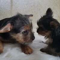 processed/8b99f249-326e-4830-ad57-2ec6a6b8e188/facility/f72419fe-c1f0-4a1c-b4e5-ac820ce4a4c3