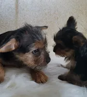 processed/8b99f249-326e-4830-ad57-2ec6a6b8e188/facility/f72419fe-c1f0-4a1c-b4e5-ac820ce4a4c3