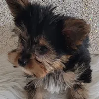 processed/8b99f249-326e-4830-ad57-2ec6a6b8e188/facility/fe858da0-524d-4269-bb9c-57e0cd6015bb