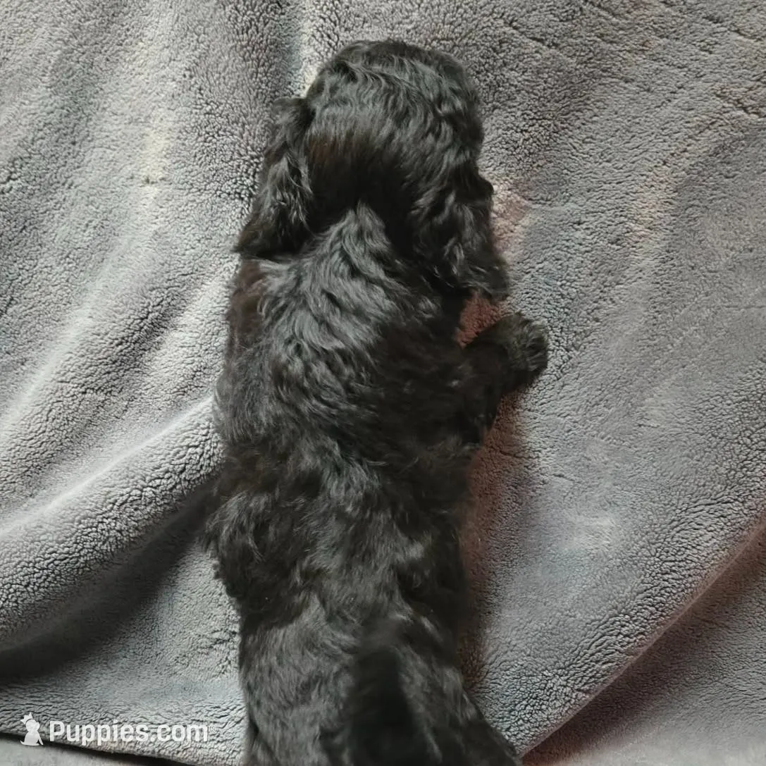 processed/8b9e3e1d-1926-4dc3-9e32-809ff1b486e0/listing/a3b48673-b272-44f1-bba1-0443b44e077d/bb824f78-e62d-44c1-9851-53cedac8fb6a