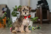 processed/8b9f03a1-f189-4a86-bfba-0452b828e2ed/listing/fa900b59-9b71-4713-973c-d20a2d5d4562/c7d09ce5-34e4-48c5-9684-7342044941bc