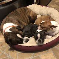 processed/8bb43e88-c990-4853-a59b-1caa7aa1e413/facility/1387e361-208c-4a5b-818f-1f2fb870fe61