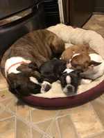 processed/8bb43e88-c990-4853-a59b-1caa7aa1e413/facility/1387e361-208c-4a5b-818f-1f2fb870fe61