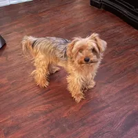 processed/8bb43e88-c990-4853-a59b-1caa7aa1e413/facility/1f44bd6f-7cd6-417b-88b7-a26c43765c2f