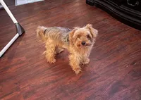 processed/8bb43e88-c990-4853-a59b-1caa7aa1e413/facility/1f44bd6f-7cd6-417b-88b7-a26c43765c2f