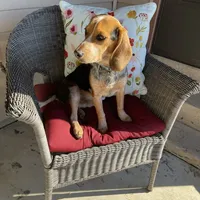 processed/8bb43e88-c990-4853-a59b-1caa7aa1e413/facility/34fded5c-eb51-445a-9da6-289e5da136a5