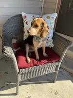 processed/8bb43e88-c990-4853-a59b-1caa7aa1e413/facility/34fded5c-eb51-445a-9da6-289e5da136a5