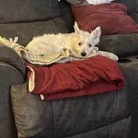 processed/8bb43e88-c990-4853-a59b-1caa7aa1e413/facility/561870f8-20ba-4f61-b75b-baac2e5011e7