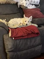 processed/8bb43e88-c990-4853-a59b-1caa7aa1e413/facility/561870f8-20ba-4f61-b75b-baac2e5011e7