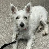 processed/8bb43e88-c990-4853-a59b-1caa7aa1e413/facility/61921c9b-27dd-4ffd-9033-96950e93f211