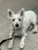 processed/8bb43e88-c990-4853-a59b-1caa7aa1e413/facility/61921c9b-27dd-4ffd-9033-96950e93f211