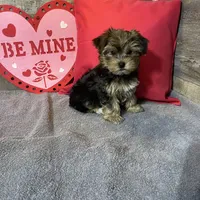 processed/8bb43e88-c990-4853-a59b-1caa7aa1e413/facility/6fe08a5e-8a58-4ca1-8c64-1014d52156f6