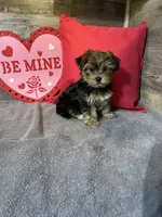 processed/8bb43e88-c990-4853-a59b-1caa7aa1e413/facility/6fe08a5e-8a58-4ca1-8c64-1014d52156f6