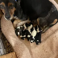 processed/8bb43e88-c990-4853-a59b-1caa7aa1e413/facility/b914025d-b3ee-49f1-8145-b9e5d8d26491