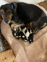 processed/8bb43e88-c990-4853-a59b-1caa7aa1e413/facility/b914025d-b3ee-49f1-8145-b9e5d8d26491