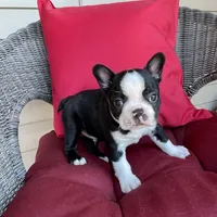 processed/8bb43e88-c990-4853-a59b-1caa7aa1e413/facility/c218fac6-7813-4d24-99f3-37137e3260bb