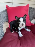 processed/8bb43e88-c990-4853-a59b-1caa7aa1e413/facility/c218fac6-7813-4d24-99f3-37137e3260bb