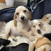 processed/8bb43e88-c990-4853-a59b-1caa7aa1e413/facility/d175505c-63c2-4866-84f9-5932383e446c